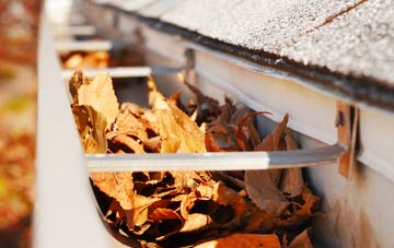 Camserney gutter cleaning companies